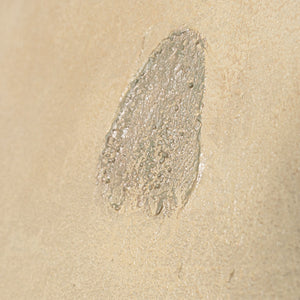 Moderneja canvas-tauluja orgaanisilla viivoilla "Sandweg"-kehyksissä